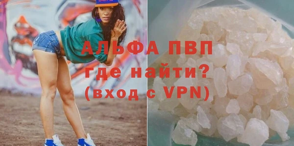 Альфа ПВП Бородино