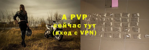 Альфа ПВП Бородино