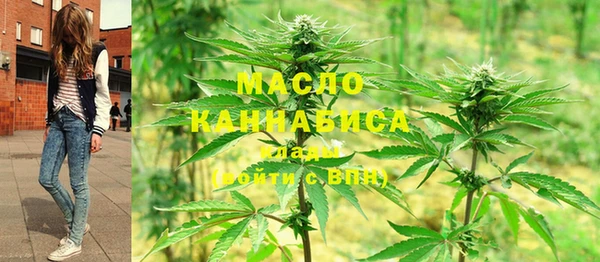 индика Ветлуга