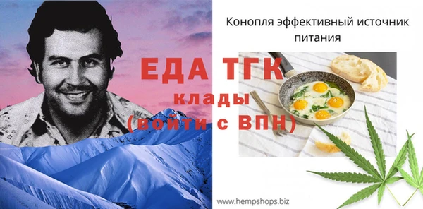 Альфа ПВП Бородино