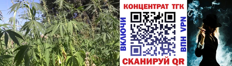 ТГК Wax  Вязники 