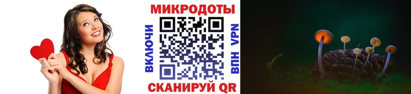 Галлюциногенные грибы GOLDEN TEACHER  наркота  Вязники 